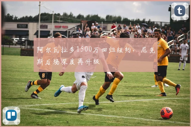 阿尔瓦拉多1500万回归纽约，尼克斯后场深度再升级